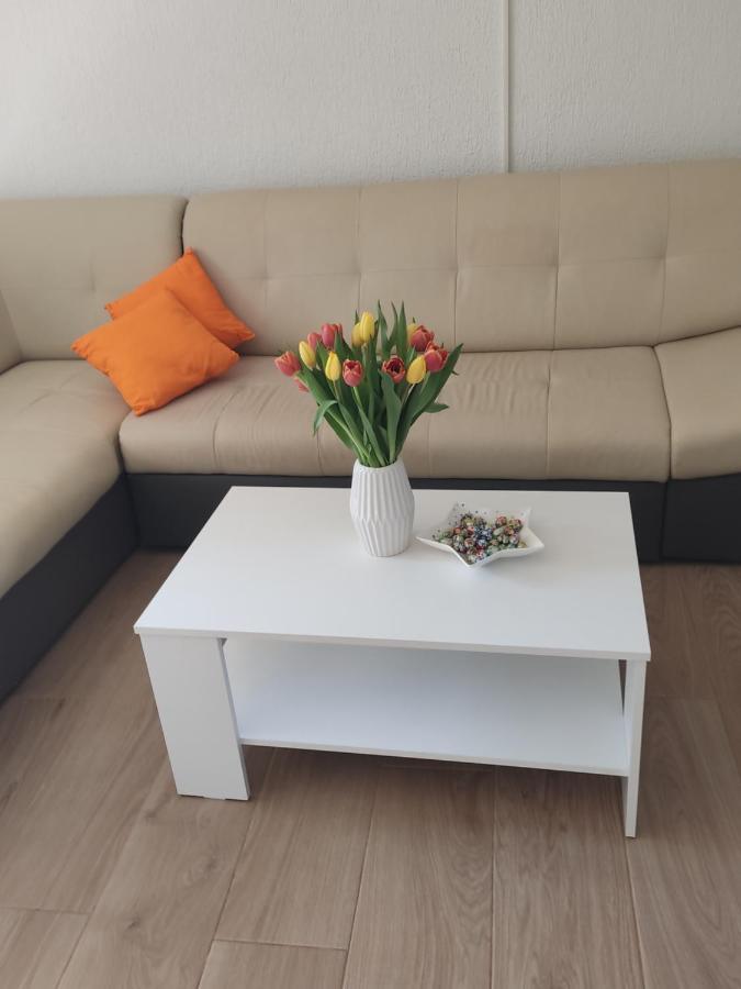 Apartment Apartment Premantura