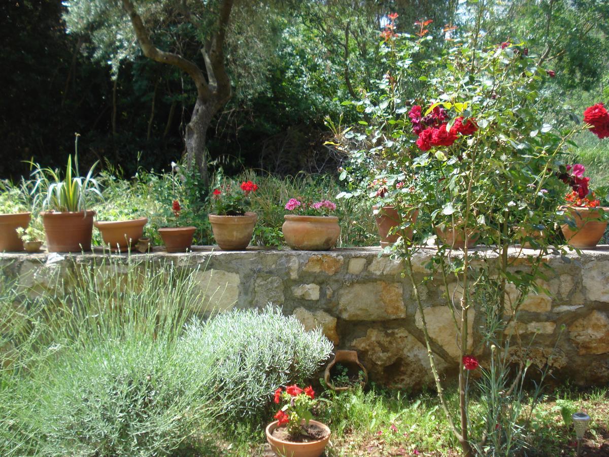 Apartment Premantura *